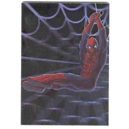 SPIDERMAN THE MOVIE TRADING CARDS - HOLOGRAM H2