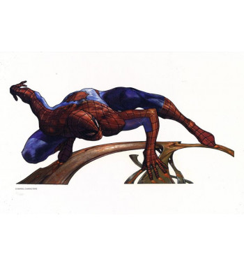 SPIDER-MAN LITHO by SIMONE...